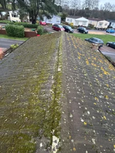 Mossy park home roof with overgrown vegetation.